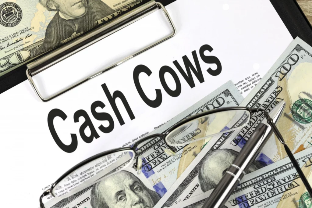 7 طرق قوية لبناء مشروع "cash cow" إلكتروني لا بقهر في عام 2024